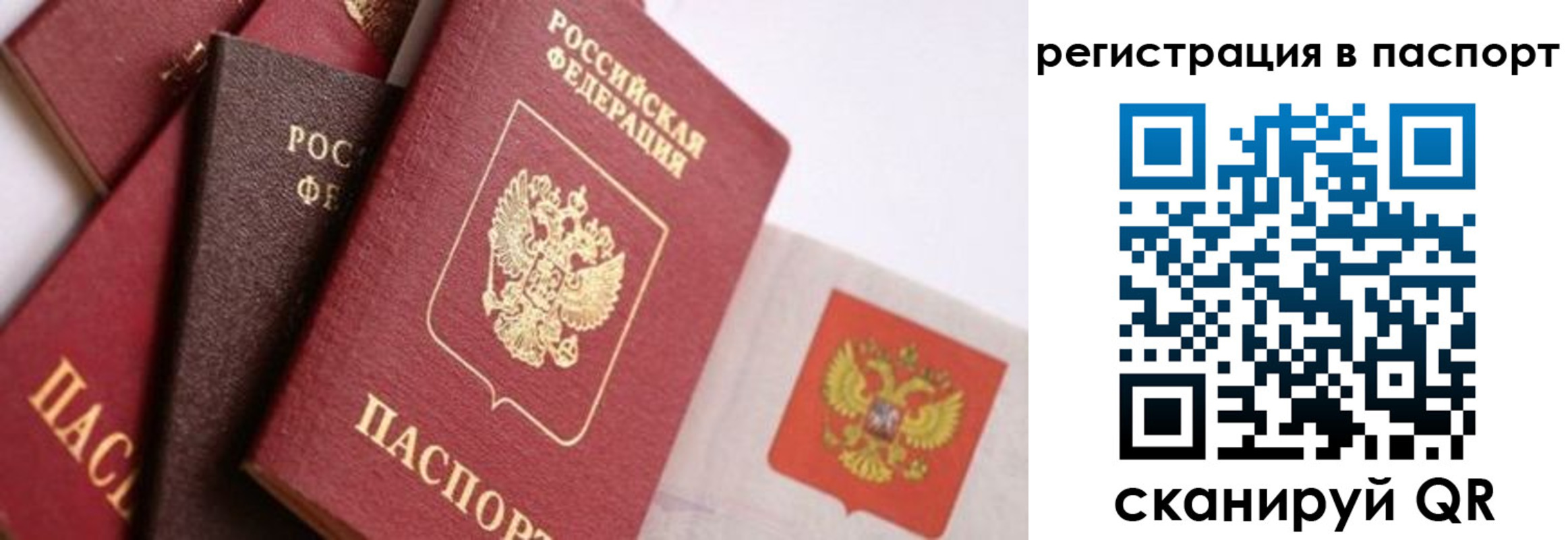 прописка в квартире в Рязанской области